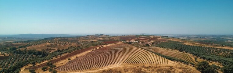Stunning drone view showcasing vineyard landscape in sunny region during midday