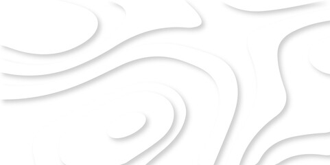 Vector minimal light element shadow landscape wave element curve graphic papercut design. Background with lines Modern black and white carve wave line abstract luxury papercut background.