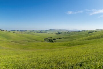 Obraz premium Vast green field, rolling hills lush grass vibrant landscape clear blue sky wispy clouds horizon