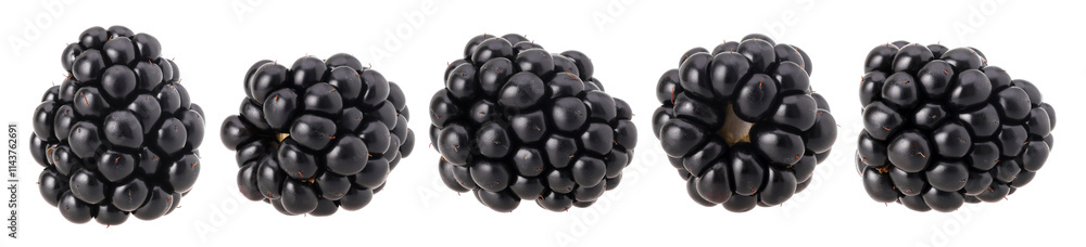 Wall mural Blackberry isolated, transparent PNG, PNG format, cut out, Collection, set.