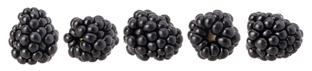 Blackberry isolated, transparent PNG, PNG format, cut out, Collection, set.
