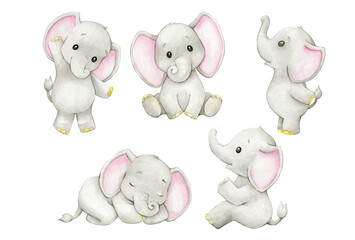 Cute elephants have different poses, hand-painted in watercolor. a set of animals on an isolated background.