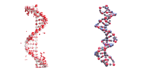 Set of DNA genome structure. Generative AI.