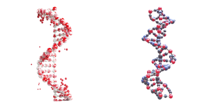 Set of DNA genome structure. Generative AI.