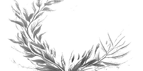 Vector flowers and leaves outline on a white background.