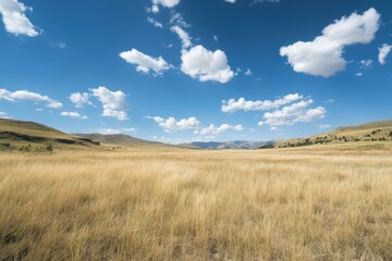 Fototapeta premium Golden Grasslands Under a Blue Sky With Puffy Clouds