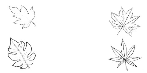 Vector floral design leaves and art background.