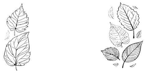 Vector floral design leaves and art background.