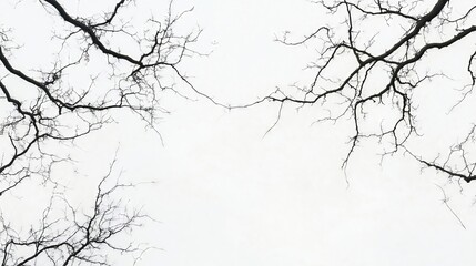 Obraz premium Bare branches reaching into pale sky on cold winter day