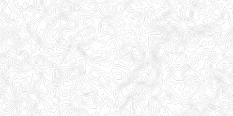 Abstract Vector geography landscape Topo contour map on white background, Topographic contour lines. Seamless pattern with lines Topographic map. Geographic mountain relief diagram line wave carve.