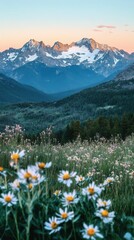 Fototapeta premium A stunning sunset view of the Rocky Mountains adorned with blooming wildflowers in the foreground during summer