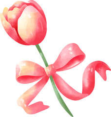 Watercolor Pink Tulip with Bow