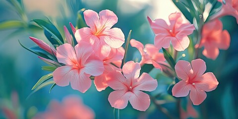 Stunning nerium oleander flowers showcase their beauty, creating a vibrant scene. The captivating colors of nerium oleander flowers add charm and allure to the landscape.