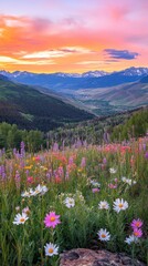 Colorful wildflowers bloom in Vail Valley at sunset with mountains in the backdrop © vadosloginov