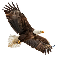 Obraz premium Bald eagle flying isolated on a transparent background