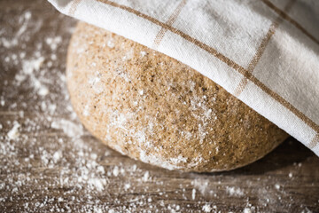 Whole wheat bread dough before baking.