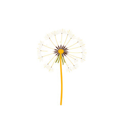 A vibrant dandelion with delicate seeds radiating from a central stem, showcasing natural beauty and intricate detail.