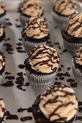 Chocolate cupcakes with frosting and chocolate sauce sitting tray