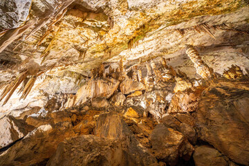 Stalactites and stalagmites illuminating postojna cave in slovenia