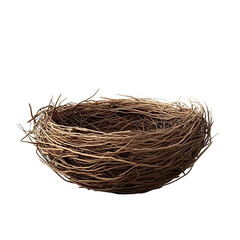 nest isolated on white background