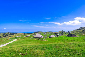 Traditional houses overlooking logarska dolina valley in slovenia during summer © unai