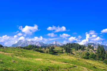 Logarska dolina valley and velika planina showing stunning summer scenery in slovenia © unai