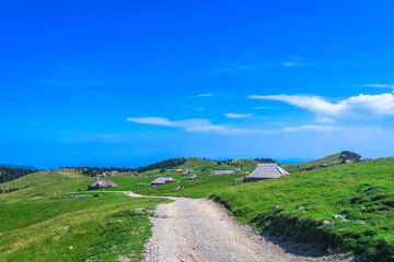 Velika planina mountain pasture in logarska dolina valley, slovenia, during summer © unai