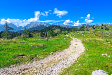 Winding path through logarska dolina valley in slovenia during summer © unai
