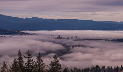 Aerial view of high-rise buildings enveloped in dense cloud cover over valley.