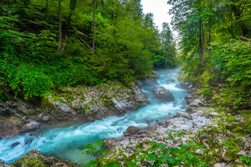 Obraz premium Radovna river flowing through vintgar gorge near bled, slovenia