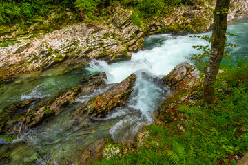 Radovna river flowing through vintgar gorge near bled, slovenia