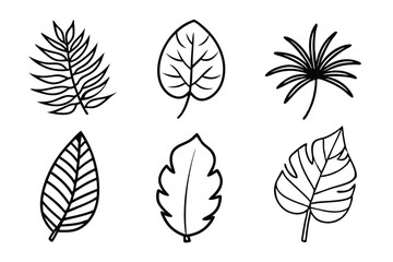 Black and White Leaf Illustrations: Various Leaf Designs