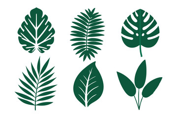 Set of Green Leaf Silhouettes in Botanical Vector Illustration