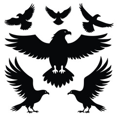 Set of Bird Silhouettes Featuring Eagles and Hawks in Flight