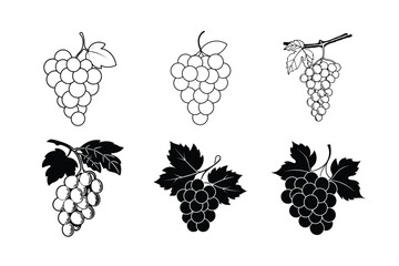 Elegant Grape Vector Illustrations - Line Art and Silhouettes