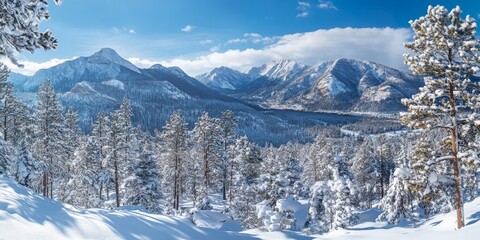 Pine forest surrounded by majestic mountains during winter, showcasing the serene beauty of a snow covered pine forest in a tranquil winter landscape. Experience the charm of the pine forest.