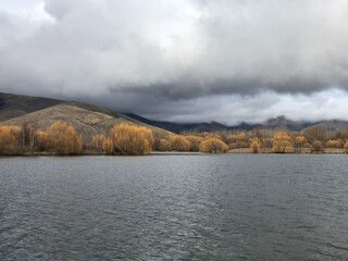 Yellow leaves tree by the lake with cloudy in Autumn