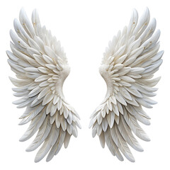 Fototapeta premium Angel wings isolated on transparent background.