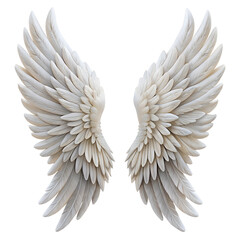 Fototapeta premium Angel wings isolated on transparent background.