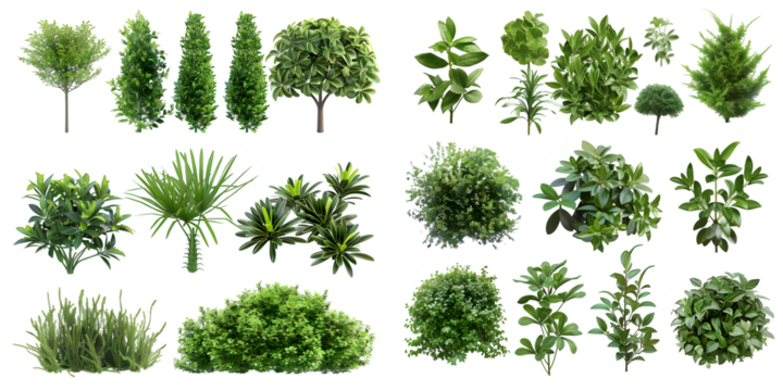 Set of plants isolated on white background. Cutout vegetation for garden design or landscaping. High quality clipping mask for professionnal composition. Generative AI.
