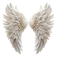 Obraz premium Angel wings isolated on transparent background.