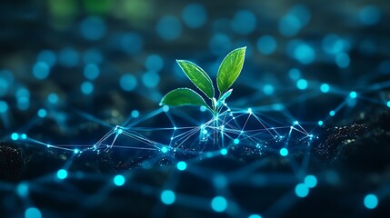 Growing Plant with Digital Connection in Futuristic Technology Concept