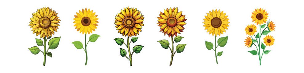 sunflower vector art, floral vector, set of beautiful flowers, simple colorful illustration of sunflower 