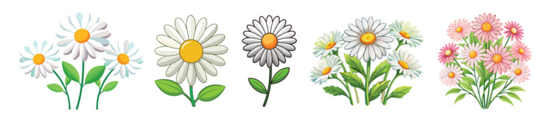 daisy flowers vector art, floral vector, set of beautiful flowers, simple colorful illustration of daisy flowers 