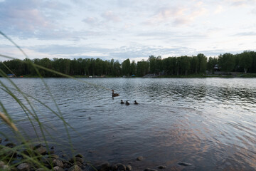 Loon Lake