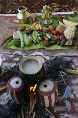 Thai Pongal, popular Hindu harvest festival celebrated by Tamils. It is celebrated in the month of Thai month also 14 or 15 January after the winter solstice. It is dedicated to Sun the solar deity