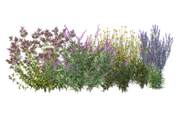Fotobehang Diverse collection of isolated flowers, grasses, bushes, and small plants © Link Parker