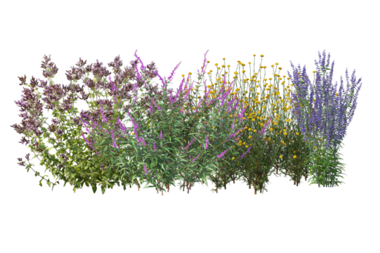 Diverse collection of isolated flowers, grasses, bushes, and small plants