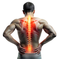 3d rendered illustration of back pain on white background