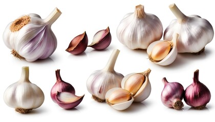 Collection of Fresh Garlic Bulbs and Cloves Isolated on White Background